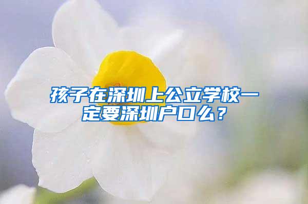 孩子在深圳上公立学校一定要深圳户口么？