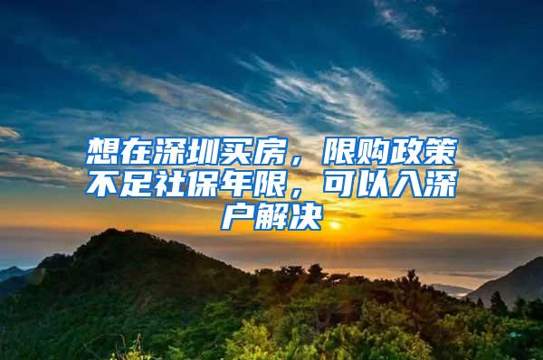 想在深圳买房，限购政策不足社保年限，可以入深户解决