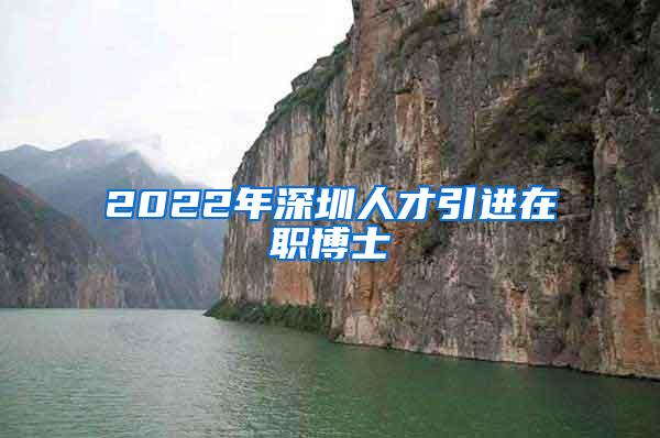 2022年深圳人才引进在职博士