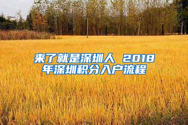 来了就是深圳人 2018年深圳积分入户流程