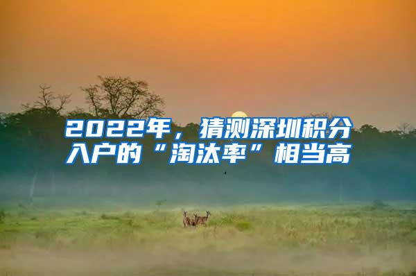 2022年，猜测深圳积分入户的“淘汰率”相当高