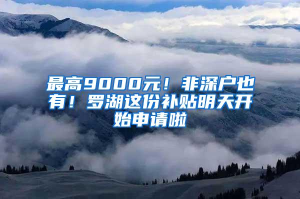 最高9000元！非深户也有！罗湖这份补贴明天开始申请啦