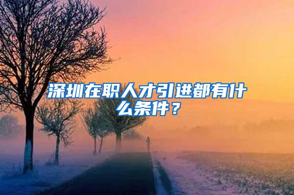 深圳在职人才引进都有什么条件？