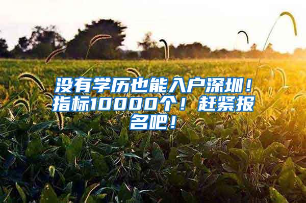 没有学历也能入户深圳！指标10000个！赶紧报名吧！