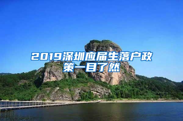 2019深圳应届生落户政策一目了然