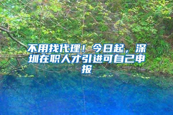 不用找代理！今日起，深圳在职人才引进可自己申报