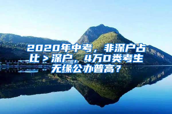 2020年中考，非深户占比＞深户，4万D类考生无缘公办普高？