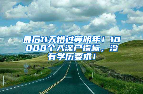 最后11天错过等明年！10000个入深户指标，没有学历要求！