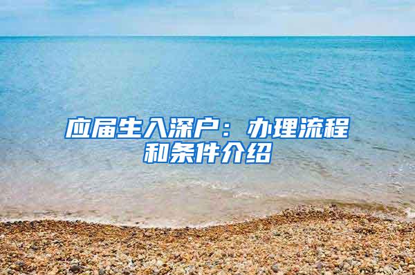 应届生入深户：办理流程和条件介绍