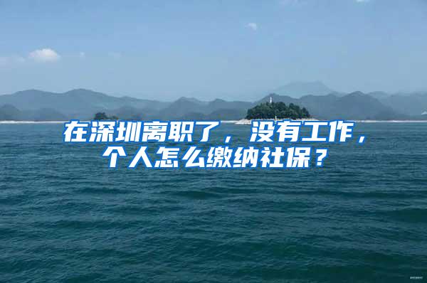 在深圳离职了，没有工作，个人怎么缴纳社保？