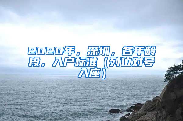 2020年，深圳，各年龄段，入户标准（列位对号入座）