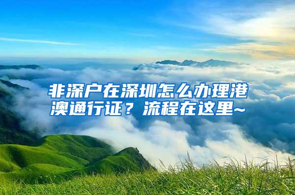 非深户在深圳怎么办理港澳通行证？流程在这里~