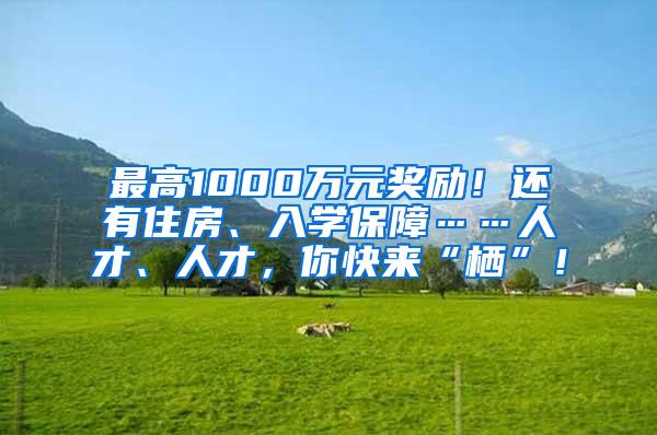 最高1000万元奖励！还有住房、入学保障……人才、人才，你快来“栖”！