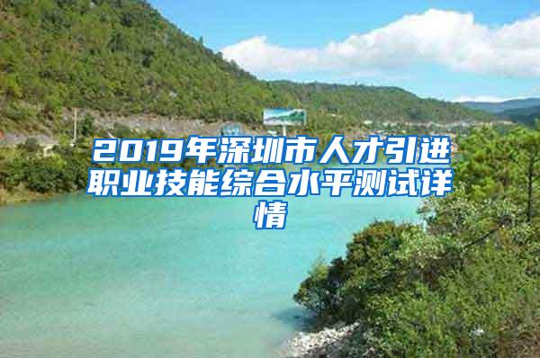 2019年深圳市人才引进职业技能综合水平测试详情