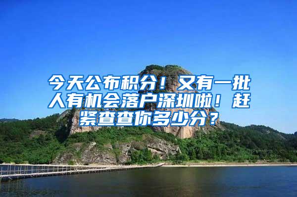 今天公布积分！又有一批人有机会落户深圳啦！赶紧查查你多少分？