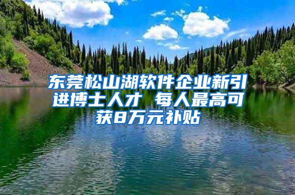 东莞松山湖软件企业新引进博士人才 每人最高可获8万元补贴