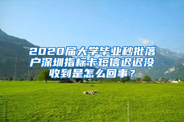 2020届大学毕业秒批落户深圳指标卡短信迟迟没收到是怎么回事？