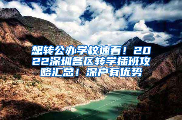 想转公办学校速看！2022深圳各区转学插班攻略汇总！深户有优势