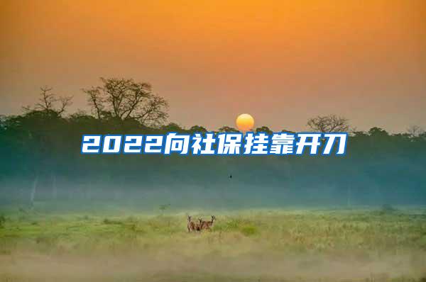 2022向社保挂靠开刀