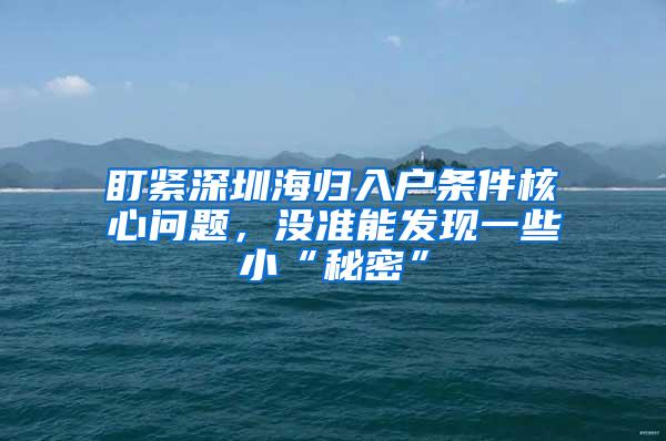 盯紧深圳海归入户条件核心问题，没准能发现一些小“秘密”