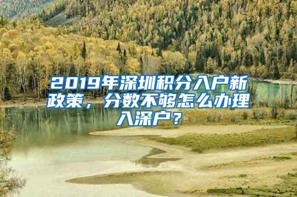 2019年深圳积分入户新政策，分数不够怎么办理入深户？