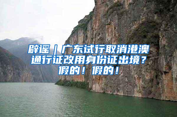 辟谣｜广东试行取消港澳通行证改用身份证出境？假的！假的！