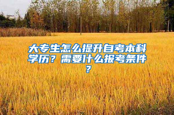 大专生怎么提升自考本科学历？需要什么报考条件？