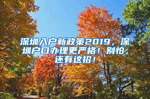 深圳入户新政策2019，深圳户口办理更严格！别怕，还有这招！