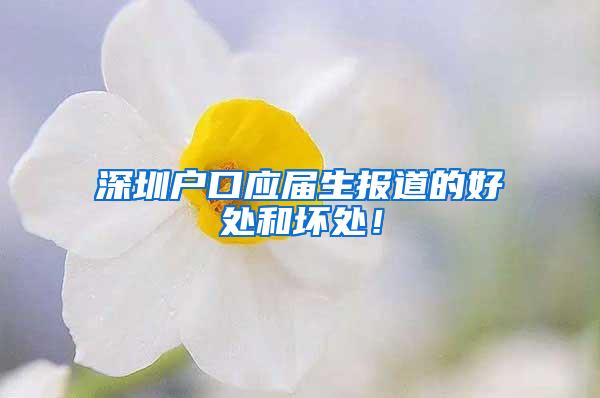 深圳户口应届生报道的好处和坏处！