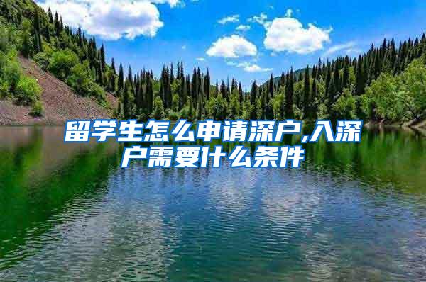 留学生怎么申请深户,入深户需要什么条件