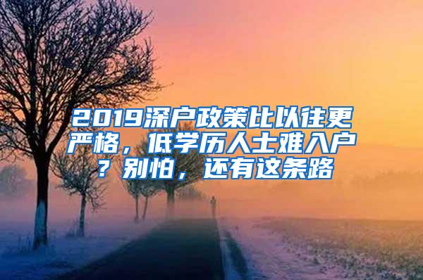 2019深户政策比以往更严格，低学历人士难入户？别怕，还有这条路