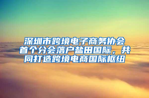 深圳市跨境电子商务协会首个分会落户盐田国际，共同打造跨境电商国际枢纽