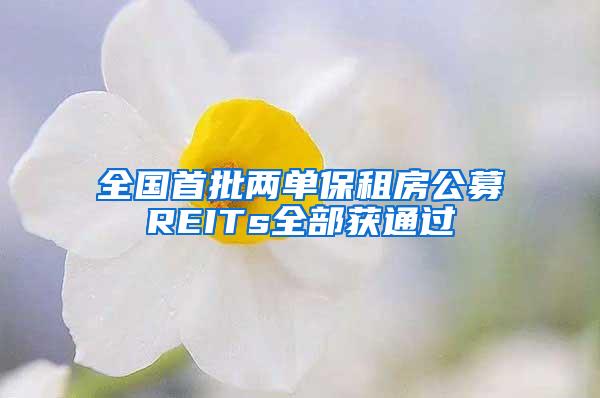 全国首批两单保租房公募REITs全部获通过