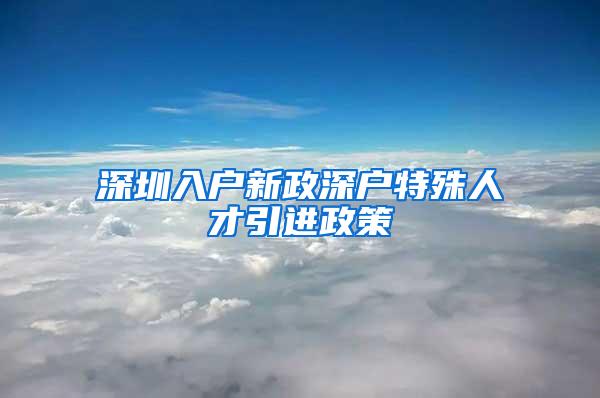 深圳入户新政深户特殊人才引进政策