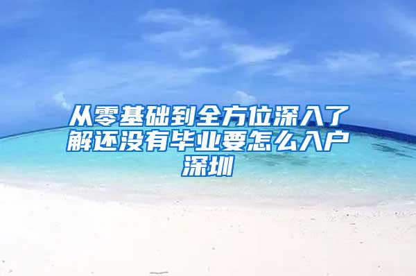 从零基础到全方位深入了解还没有毕业要怎么入户深圳