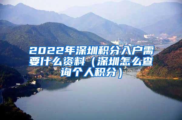 2022年深圳积分入户需要什么资料（深圳怎么查询个人积分）