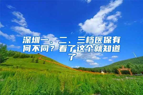 深圳一、二、三档医保有何不同？看了这个就知道了