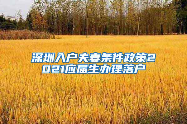 深圳入户夫妻条件政策2021应届生办理落户