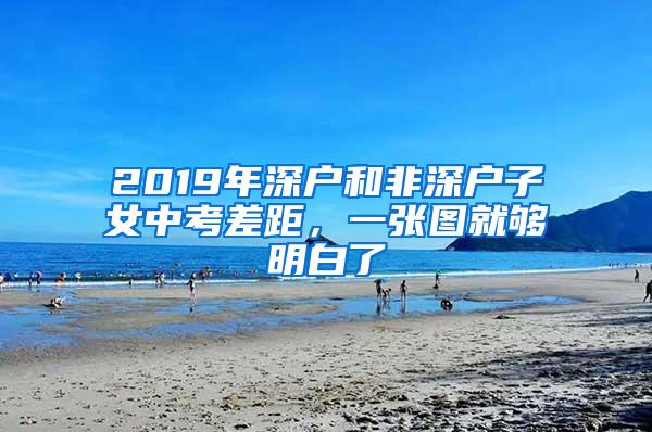 2019年深户和非深户子女中考差距，一张图就够明白了