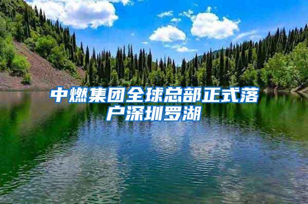 中燃集团全球总部正式落户深圳罗湖