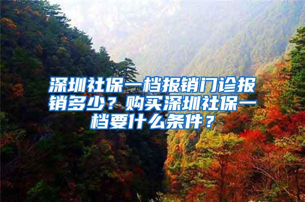 深圳社保一档报销门诊报销多少？购买深圳社保一档要什么条件？