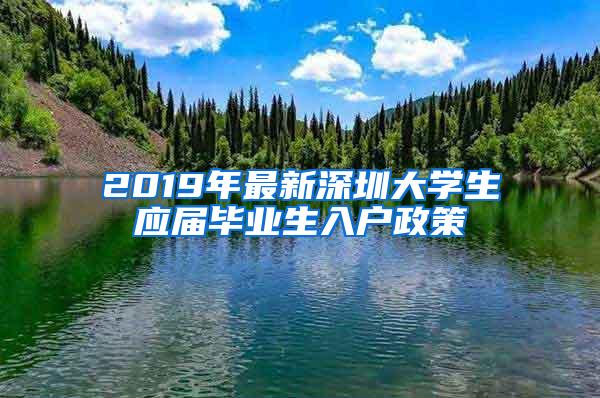 2019年最新深圳大学生应届毕业生入户政策