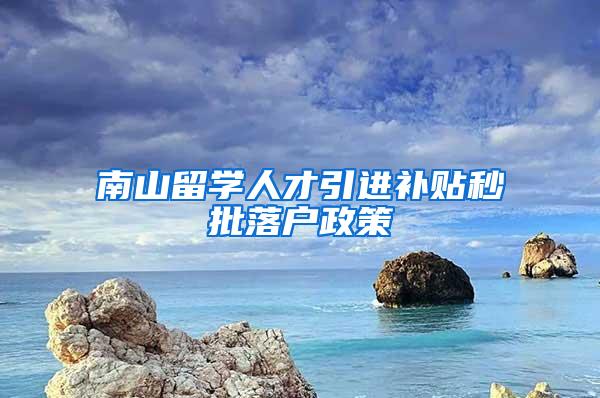 南山留学人才引进补贴秒批落户政策