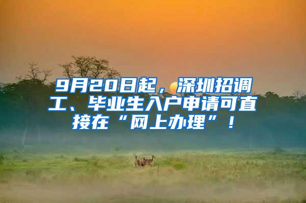 9月20日起，深圳招调工、毕业生入户申请可直接在“网上办理”！