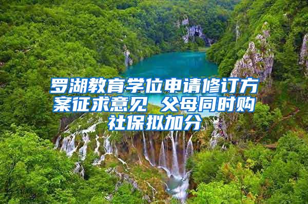 罗湖教育学位申请修订方案征求意见 父母同时购社保拟加分