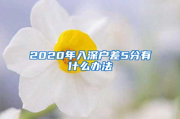 2020年入深户差5分有什么办法