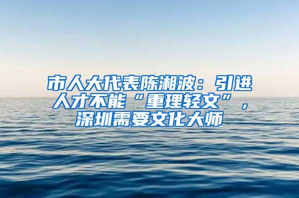 市人大代表陈湘波：引进人才不能“重理轻文”，深圳需要文化大师