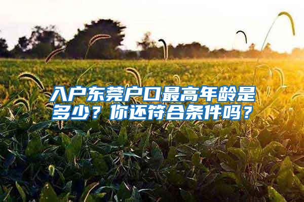 入户东莞户口最高年龄是多少？你还符合条件吗？