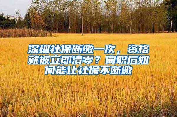 深圳社保断缴一次，资格就被立即清零？离职后如何能让社保不断缴