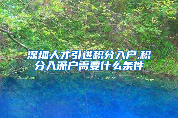 深圳人才引进积分入户,积分入深户需要什么条件